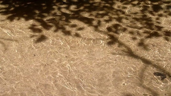 Terry Hall Arts - Still Waters