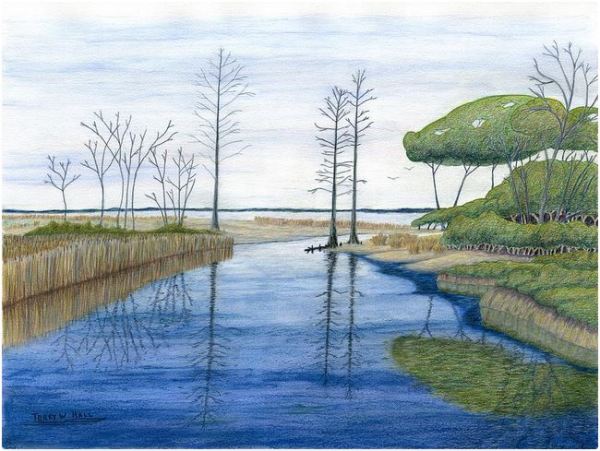 Terry Hall Arts - Swamp at Chippokes