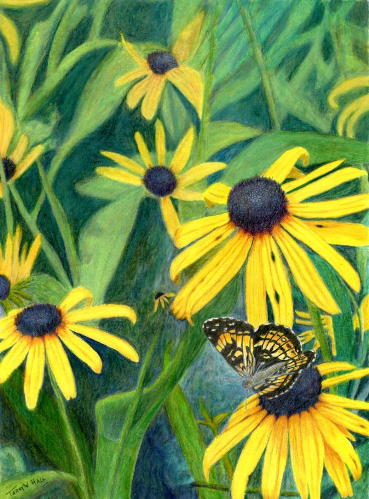 Black-Eyed Susans and Friend