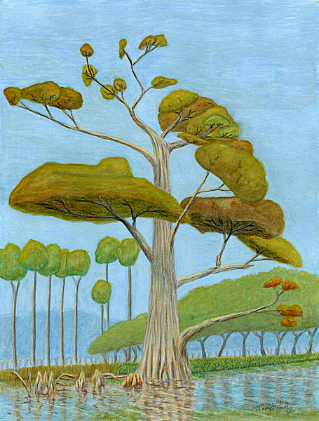 Terry Hall Arts - Cypress at Gordon Creek